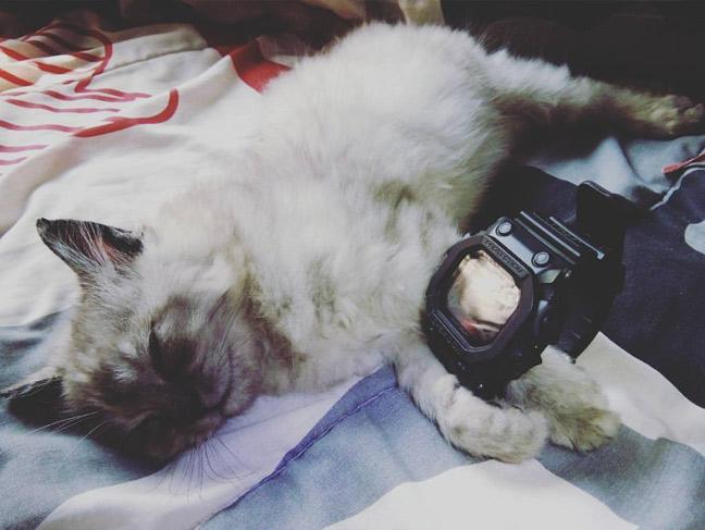 Наручные часы  Casio  G-Shock Casio GX-56BB-1E (фото 10)