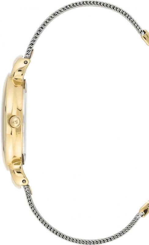 Наручные часы  Anne Klein  Steel Anne Klein 3807SVTT (фото 2)