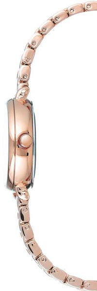 Наручные часы  Anne Klein  Steel Anne Klein 2662SVRG (фото 3)