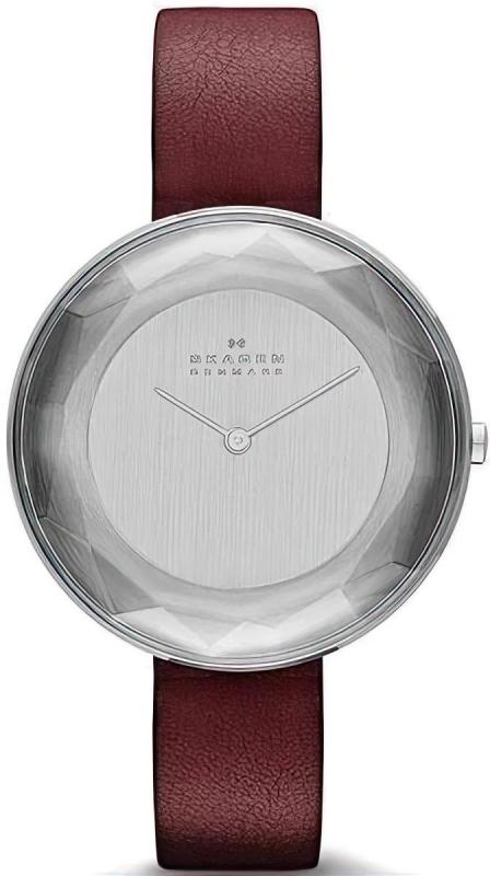 Наручные часы  Skagen  Leather Skagen SKW2273 (фото 1)